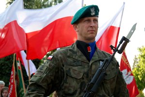 Zdjęcie główne dla wydarzenia: Święto Wojsk Obrony Terytorialnej